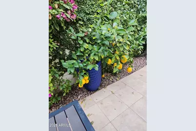 7322 E Sierra Vista Drive, Scottsdale, AZ 85250 - Photo 90