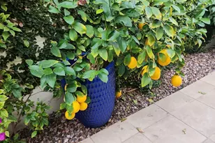 7322 E Sierra Vista Dr, Scottsdale, AZ 85250 - Photo 90