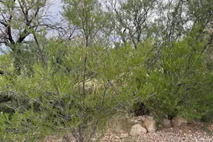 534 S Little Bear Trail, Sierra Vista, AZ 85635 - Photo 22