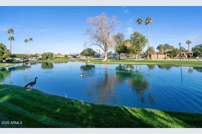 174 Leisure World --, Mesa, AZ 85206 - Photo 24