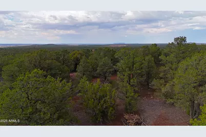 35445 Sr 61 -- #13, Vernon, AZ 85940 - Photo 8