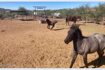 45215 N 10th Street #'-', New River, AZ 85087 - Photo 6