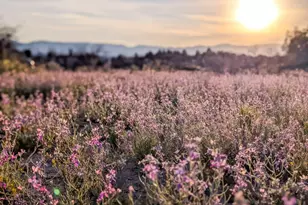 000 E Red Baron Dr, Rimrock, AZ 86335 - Photo 1