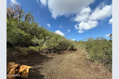 00 E Lincoln Ridge Road #-, Crown King, AZ 86343 - Photo 6