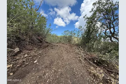 00 E Lincoln Ridge Road #-, Crown King, AZ 86343 - Photo 4