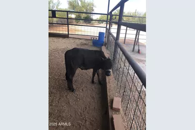 30434 N 59th Street, Cave Creek, AZ 85331 - Photo 58