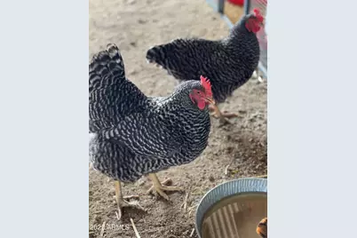 30434 N 59th Street, Cave Creek, AZ 85331 - Photo 56