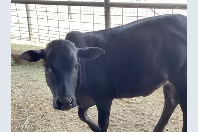 30434 N 59th Street, Cave Creek, AZ 85331 - Photo 54