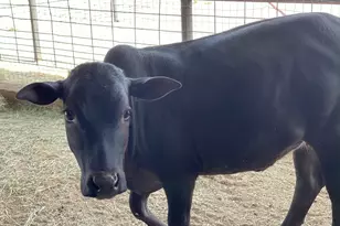 30434 N 59th St, Cave Creek, AZ 85331 - Photo 54