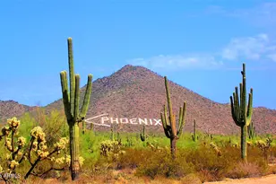 6334 E Viewmont Dr, Mesa, AZ 85215 - Photo 54