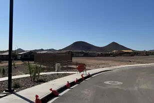 32017 N 117th Dr, Peoria, AZ 85383 - Photo 40