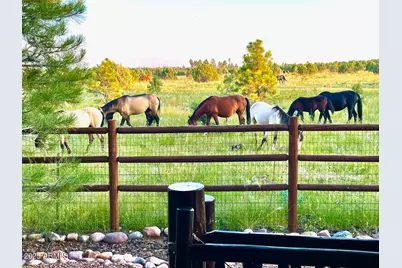 2702 Covered Wagon Trail, Overgaard, AZ 85933 - Photo 84