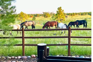 2702 Covered Wagon Trail, Overgaard, AZ 85933 - Photo 84