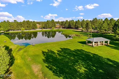2702 Covered Wagon Trail, Overgaard, AZ 85933 - Photo 66