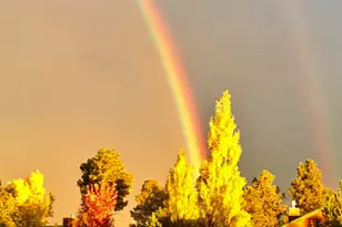 2702 Covered Wagon Trail, Overgaard, AZ 85933 - Photo 86