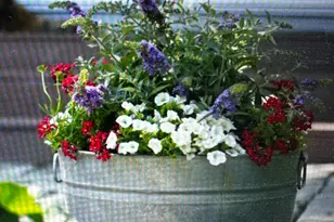 2702 Covered Wagon Trail, Overgaard, AZ 85933 - Photo 76