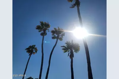 17200 W Bell Road #794, Surprise, AZ 85374 - Photo 50