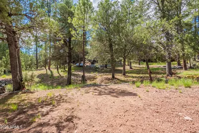 199 S Greystone Circle, Payson, AZ 85541 - Photo 66