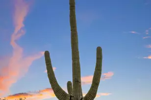17892 E Silver Sage Ln, Rio Verde, AZ 85263 - Photo 44