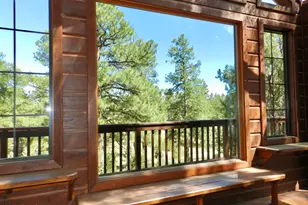 2872 Chandelle Ln, Overgaard, AZ 85933 - Photo 58