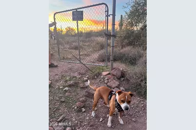 0 S Buckboard Road #2, Gold Canyon, AZ 85118 - Photo 8