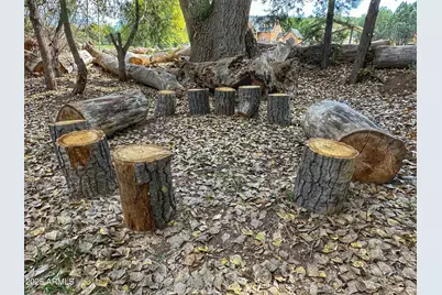 248 N Haigler Drive, Young, AZ 85554 - Photo 16