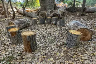 248 N Haigler Dr, Young, AZ 85554 - Photo 16