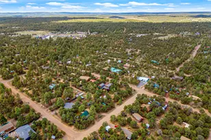 2933 Wildcat Trail, Overgaard, AZ 85933 - Photo 42