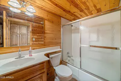 2933 Wildcat Trail, Overgaard, AZ 85933 - Photo 24