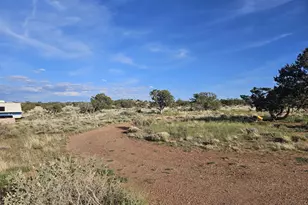 110 N County Road N5578 --, Concho, AZ 85924 - Photo 4