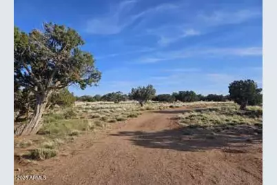 110 N County Road N5578 --, Concho, AZ 85924 - Photo 1