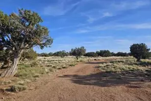 110 N County Road N5578 --, Concho, AZ 85924 - Photo 1