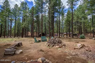 7291 E Jolly Rogue Ln, Williams, AZ 86046 - Photo 48