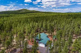 7291 E Jolly Rogue Ln, Williams, AZ 86046 - Photo 60