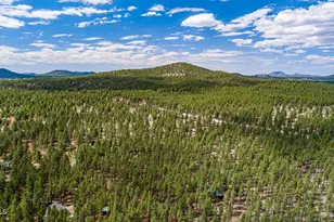 7291 E Jolly Rogue Ln, Williams, AZ 86046 - Photo 66