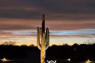 30709 N 149th St, Scottsdale, AZ 85262 - Photo 44