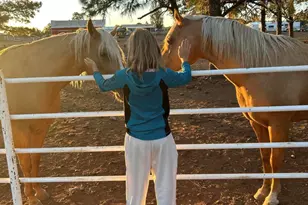2399 Quarter Horse Trl, Overgaard, AZ 85933 - Photo 30