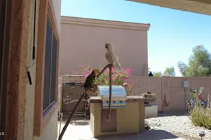 1340 S 232nd Ave, Buckeye, AZ 85326 - Photo 14