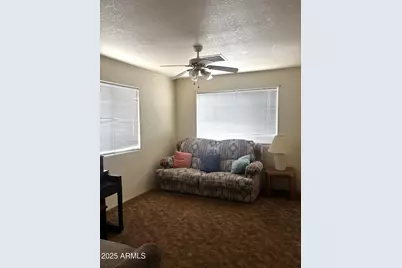 1017 E 20th Street, Douglas, AZ 85607 - Photo 4