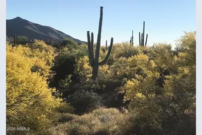 39005 N Crested Quail Run #18, Carefree, AZ 85377 - Photo 18