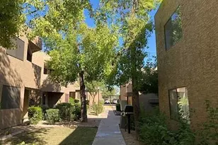 5350 E Taylor St, Phoenix, AZ 85008 - Photo 1