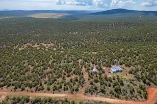 35575 W Pale Moon Rd, Seligman, AZ 86337 - Photo 32