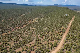 35575 W Pale Moon Rd, Seligman, AZ 86337 - Photo 36