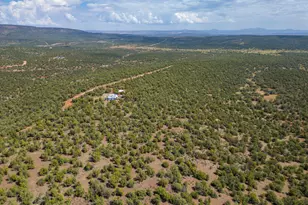 35575 W Pale Moon Rd, Seligman, AZ 86337 - Photo 38