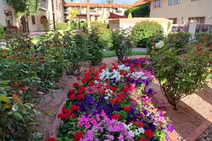 10330 W Thunderbird Blvd, Sun City, AZ 85351 - Photo 32