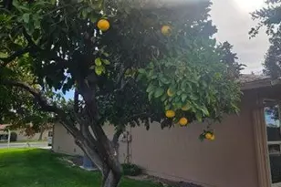 15462 N Lakeforest Dr, Sun City, AZ 85351 - Photo 54