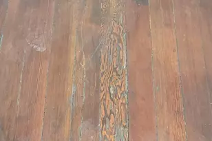 313 N 47th St, Phoenix, AZ 85008 - Photo 24