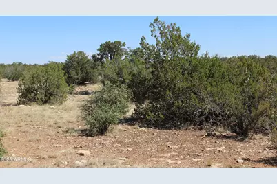 Sec 9 T14N,R16E: Sw4 Nw4 Sw4 -- #'-', Heber, AZ 85928 - Photo 2