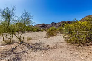 11827 S Montezuma Ct, Phoenix, AZ 85044 - Photo 100