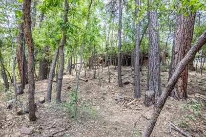 3865 N Hunt Drive, Pine, AZ 85544 - Photo 38